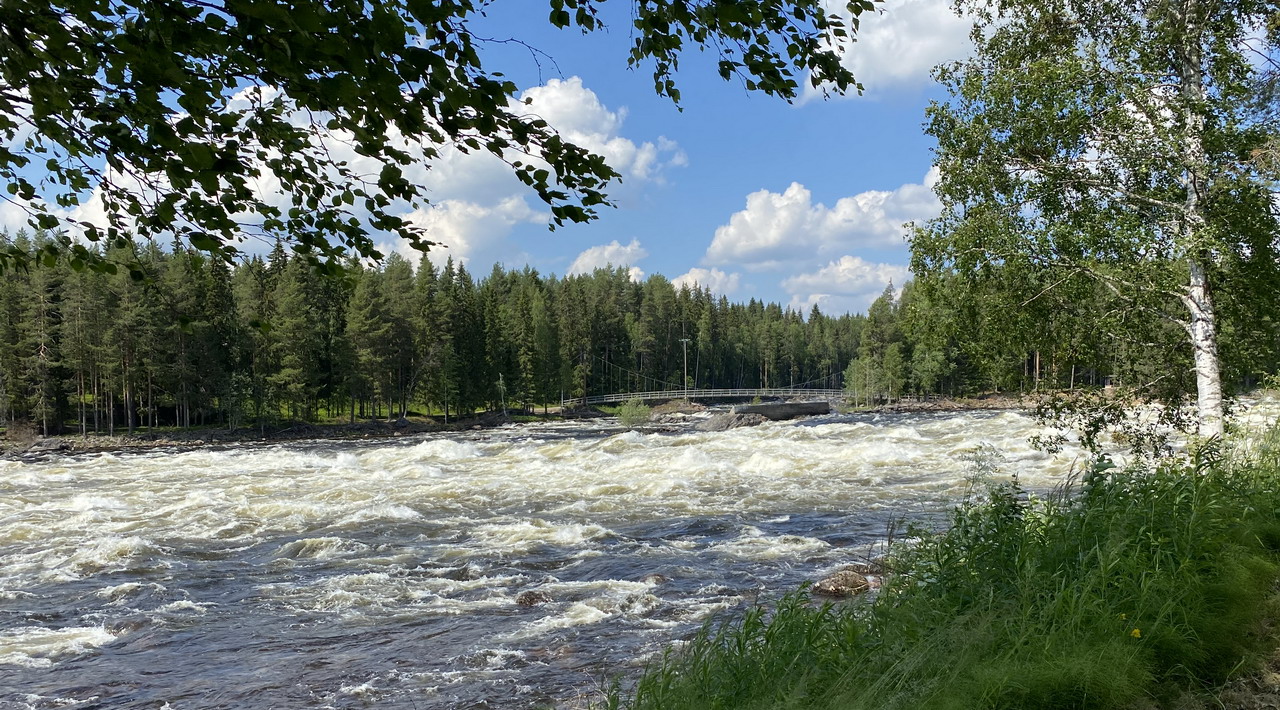 Renforsen i Vindelälven